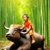 Chinese Boy On A Buffalo Diamond Painting
