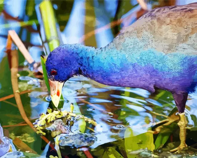 close up American Purple Gallinule Diamond By Numbers Close Up American Purple Gallinule Diamond Painting