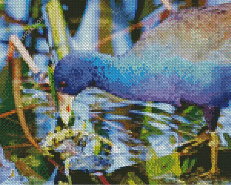 close up American Purple Gallinule Diamond Dotz Close Up American Purple Gallinule Diamond Painting