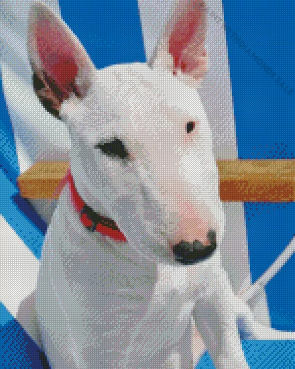 close up Bull Terrier Diamond By Numbers Close Up Bull Terrier Diamond Painting