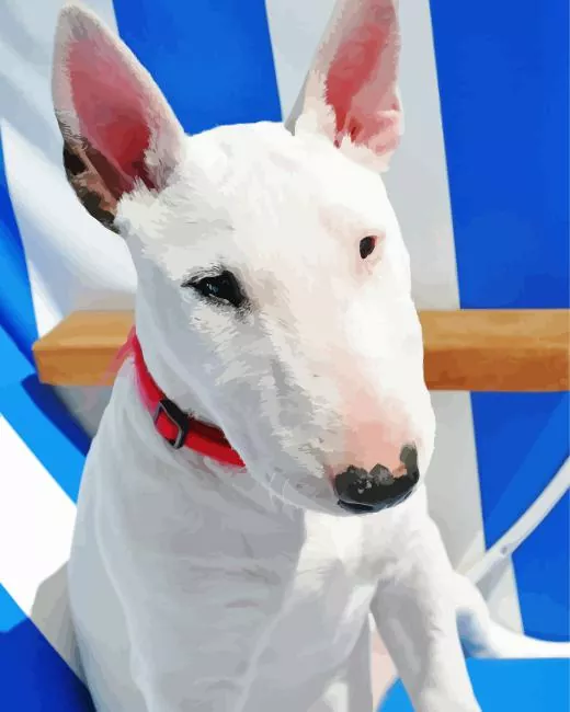 close up Bull Terrier Diamond Paintings Close Up Bull Terrier Diamond Painting