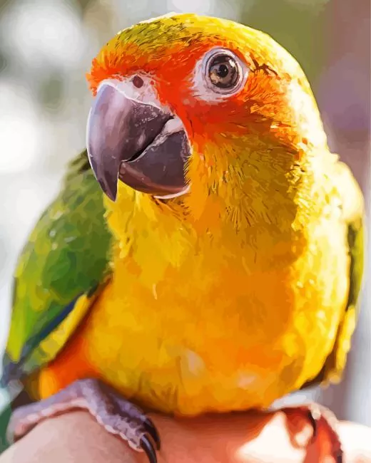 close up Conure Bird Diamond Paints Close Up Conure Bird Diamond Painting