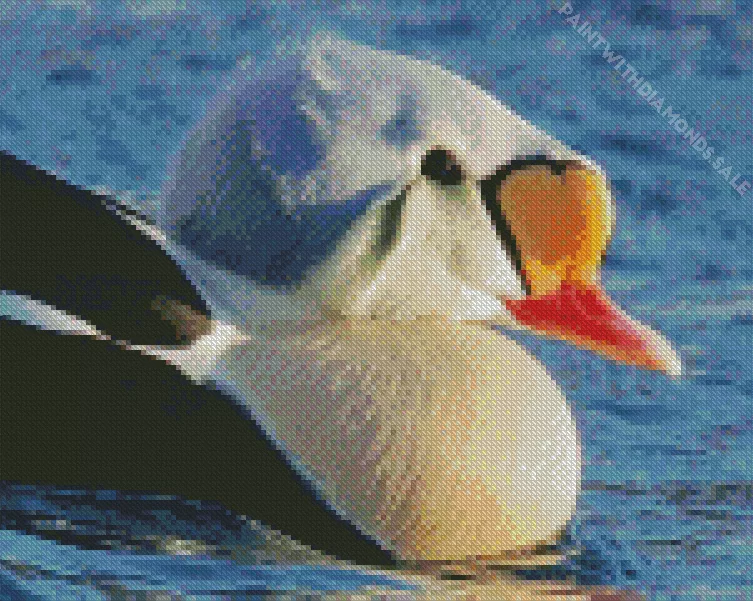 close up King Eider Bird Diamond Dotz Close Up King Eider Bird Diamond Painting
