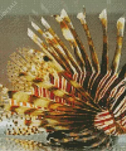 Close Up Lionfish Diamond Painting