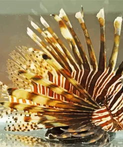 Close Up Lionfish Diamond Painting