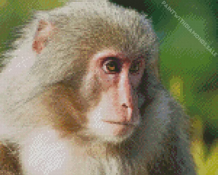 close up Macaque Diamond Dotz Close Up Macaque Diamond Painting