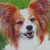 Close Up Papillon Dog Diamond Painting