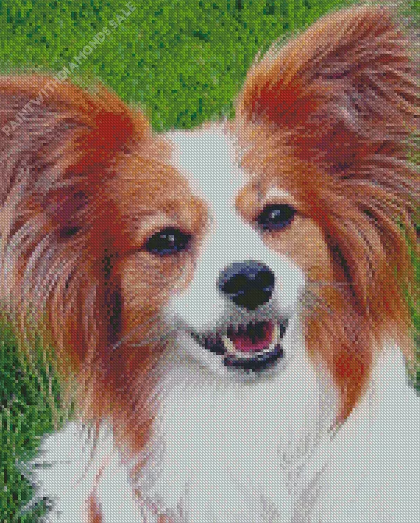 close up Papillon dog Diamond Paints Close Up Papillon Dog Diamond Painting