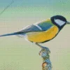 Close Up Parus Bird Diamond Painting