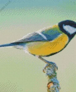 Close Up Parus Bird Diamond Painting