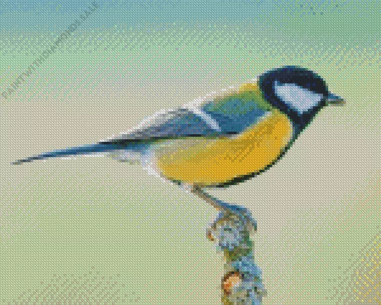 close up Parus Bird Diamond Dotz Close Up Parus Bird Diamond Painting