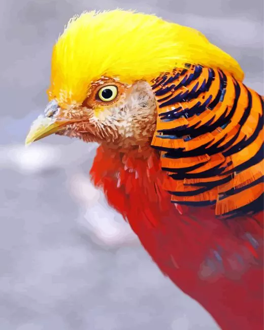 close up Pheasant Diamond By Numbers Close Up Pheasant Diamond Painting
