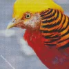 Close Up Pheasant Diamond Painting