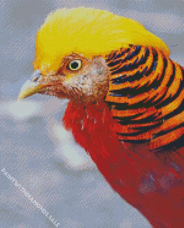 close up Pheasant Diamond Paints Close Up Pheasant Diamond Painting