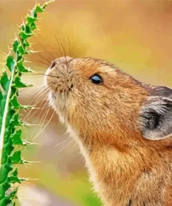 Close Up Pika Diamond Painting