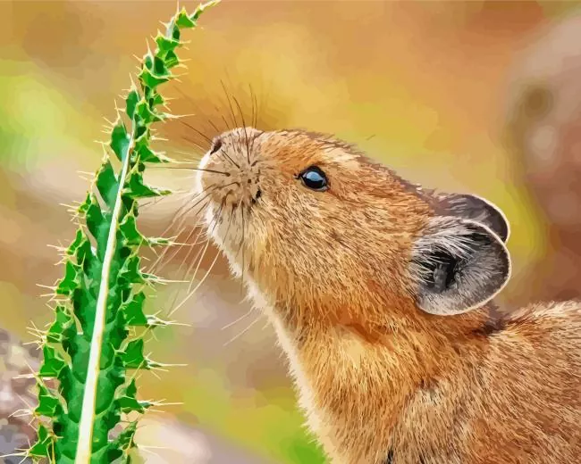 close up Pika Diamond Paintings Close Up Pika Diamond Painting