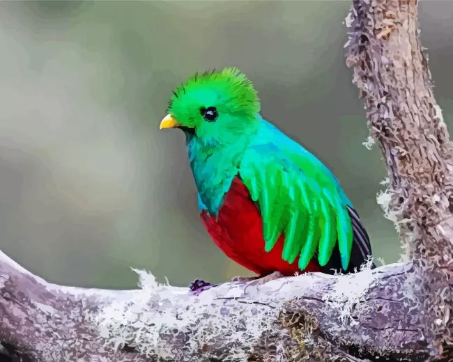 close up Resplendent Quetzal Diamond Paintings Close Up Resplendent Quetzal Diamond Painting