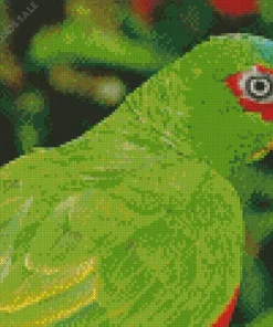 Close Up White Fronted Amazon Diamond Painting