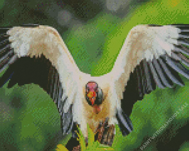 close up of a king vulture Diamond Dotz Close Up Of A King Vulture Diamond Painting