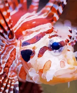 Close Up Red Lionfish Diamond Painting