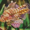 Colored Lionfish Diamond Painting