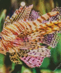 Colored Lionfish Diamond Painting