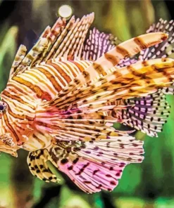 Colored Lionfish Diamond Painting
