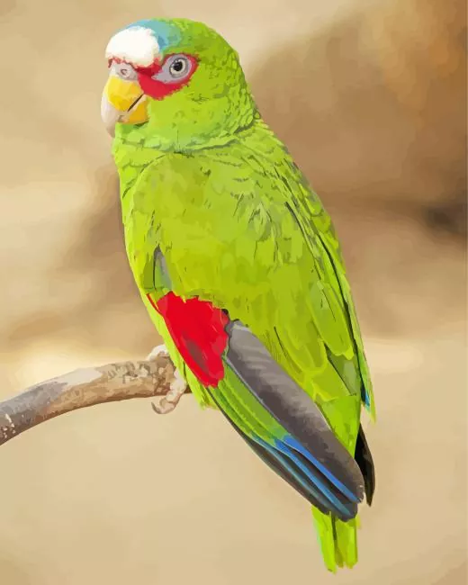 colored White Fronted Amazon Diamond By Numbers Colored White Fronted Amazon Diamond Painting