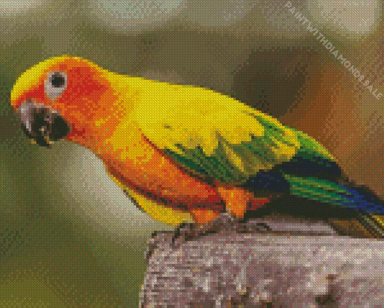 colorful Conure Bird Diamond By Numbers Colorful Conure Bird Diamond Painting