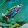 Colorful Trout Fish Diamond Painting