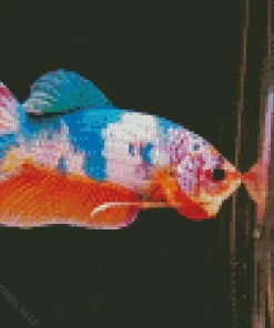 Colorful Plakat Betta Diamond Painting