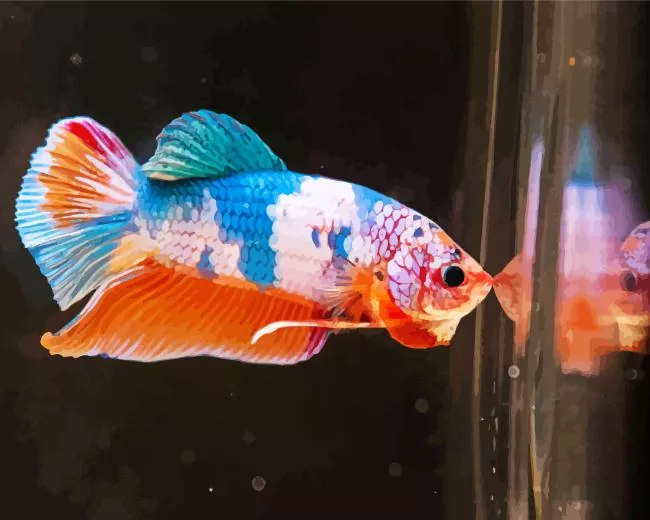 colorful plakat betta Diamond With Numbers Colorful Plakat Betta Diamond Painting