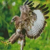 Common Buzzard Flying Diamond Painting