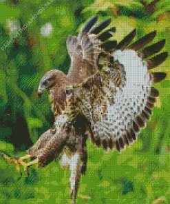 Common Buzzard Flying Diamond Painting
