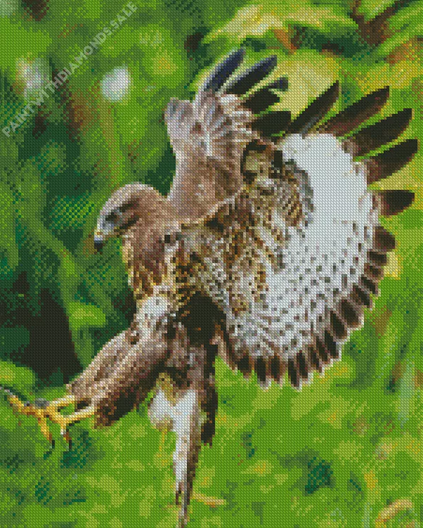 common buzzard flying Diamond Dotz Common Buzzard Flying Diamond Painting