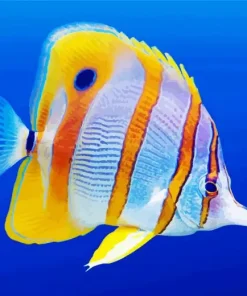 Copperband Butterfly Fish Diamond Painting