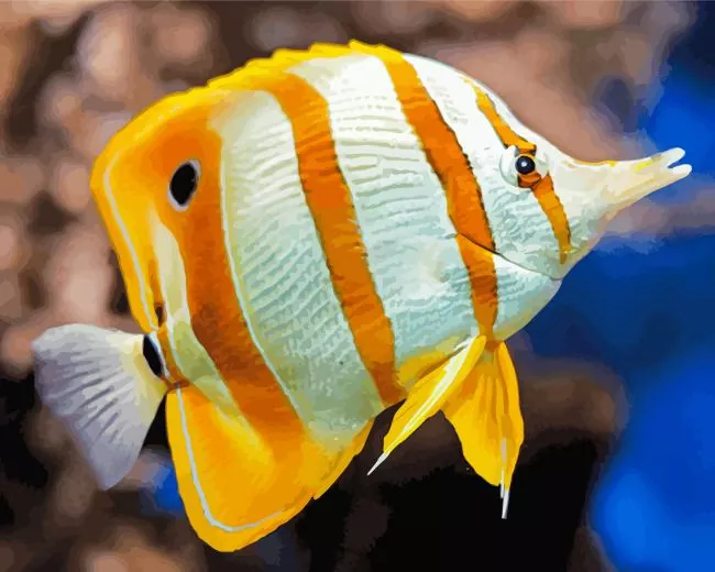 copperband butterflyfish art Diamond Paints Copperband Butterflyfish Art Diamond Painting