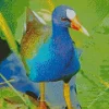 Cute American Purple Gallinule Diamond Painting