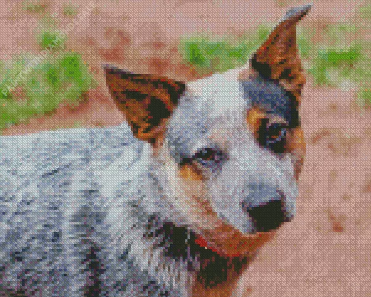 cute Australian Cattle Dog Diamond Dotz Cute Australian Cattle Dog Diamond Painting