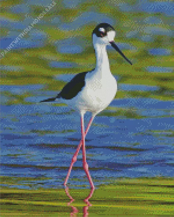 cute Black Necked Stilt Diamond By Numbers Cute Black Necked Stilt Diamond Painting
