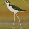 Cute Black Necked Stilt Bird Diamond Painting