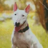 Cute Bull Terrier Diamond Painting