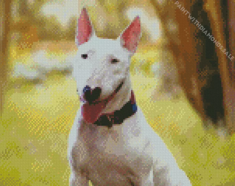 cute Bull Terrier Diamond By Numbers Cute Bull Terrier Diamond Painting