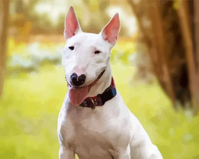 cute Bull Terrier Diamond Paintings Cute Bull Terrier Diamond Painting