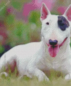Cute Bull Terrier Dog Diamond Painting