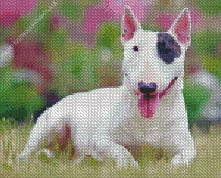 cute Bull Terrier dog Diamond By Numbers Cute Bull Terrier Dog Diamond Painting