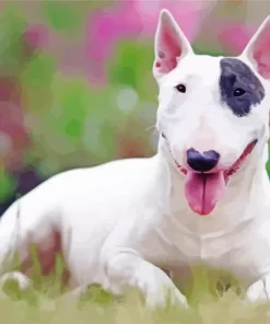 Cute Bull Terrier Dog Diamond Painting