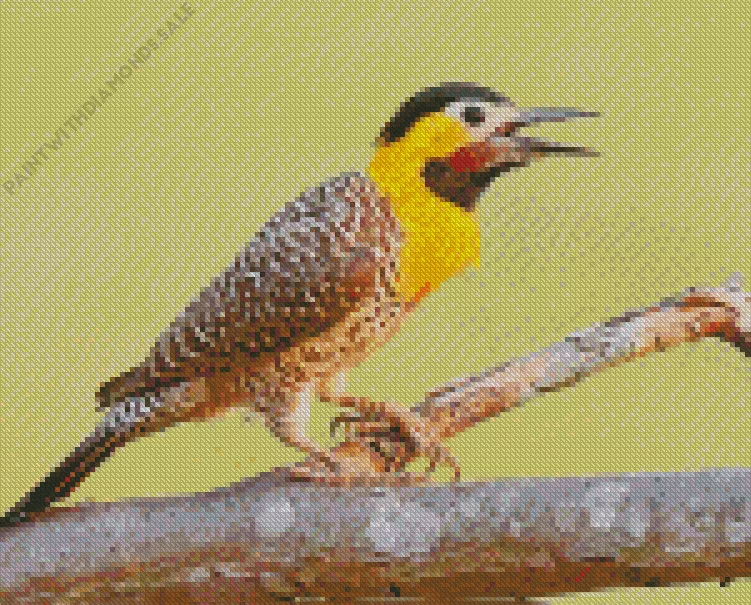 cute Campo flicker Diamond Dotz Cute Campo Flicker Diamond Painting