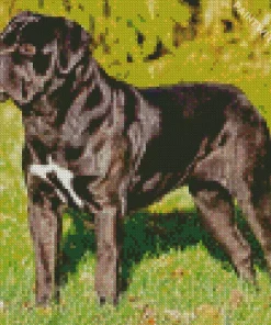 Cute Cane Corso Dog Diamond Painting