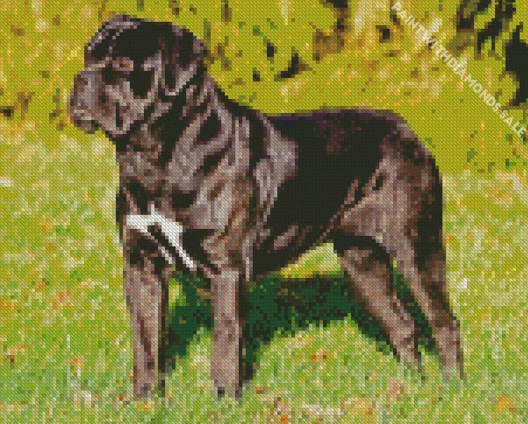 cute Cane Corso dog Diamond Dotz Cute Cane Corso Dog Diamond Painting